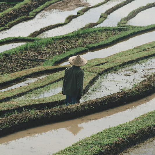 From This Island’s Botanical Beauty: Indonesia’s Natural Edge in Skincare