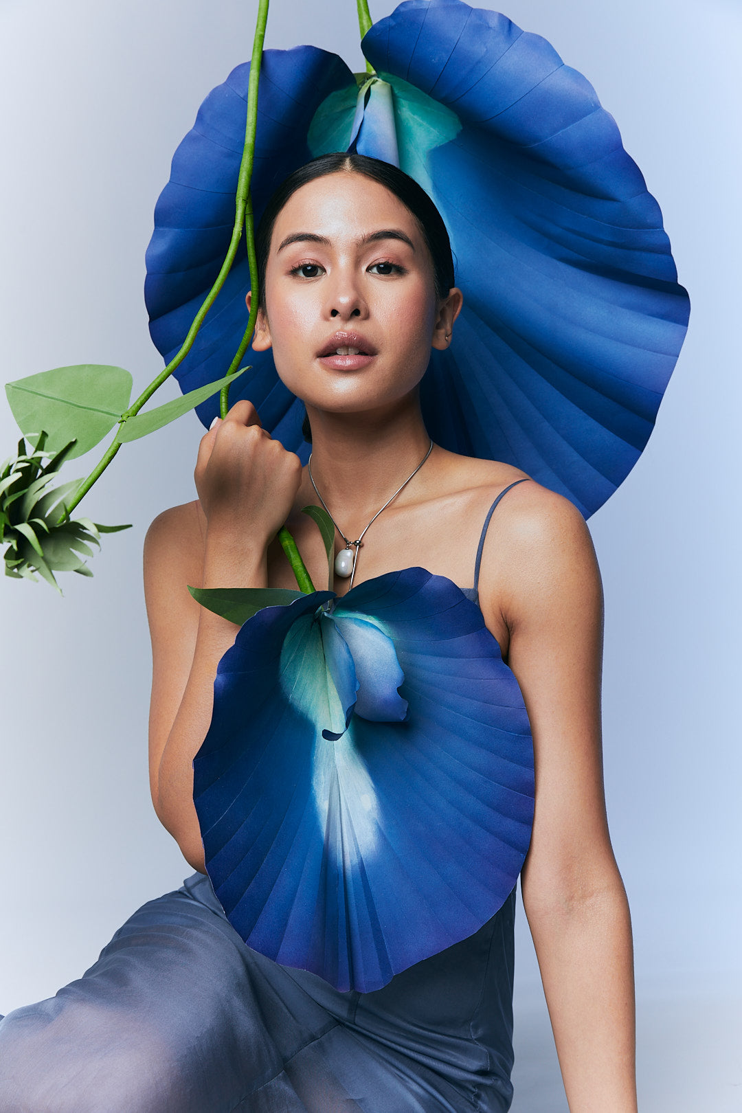 Blue Pea Flower in Skincare: Nature’s Answer to Gentle, Effective Cleansing