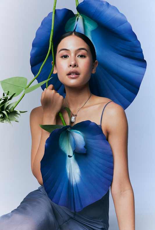 Blue Pea Flower in Skincare: Nature’s Answer to Gentle, Effective Cleansing