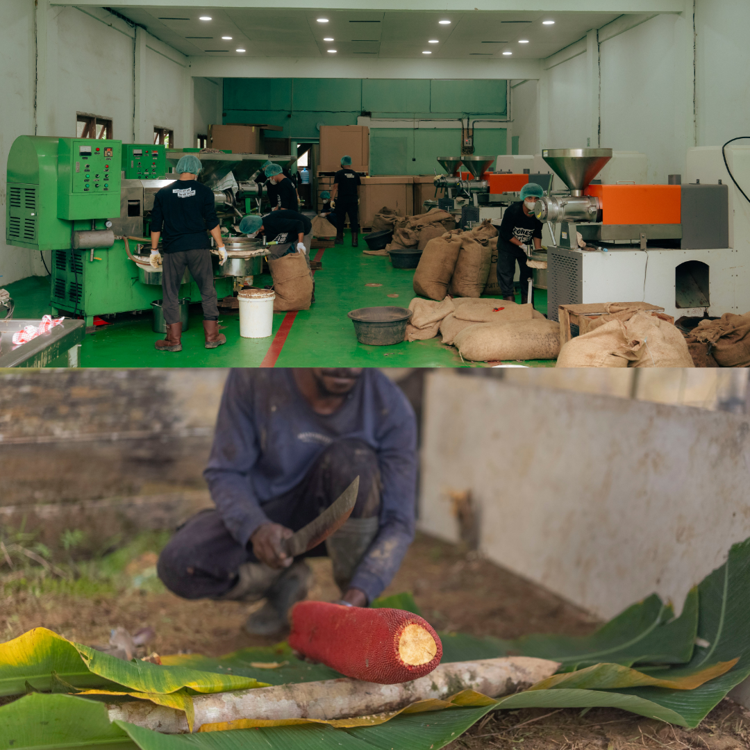 Meet the Communities Behind Our Hero Ingredients
