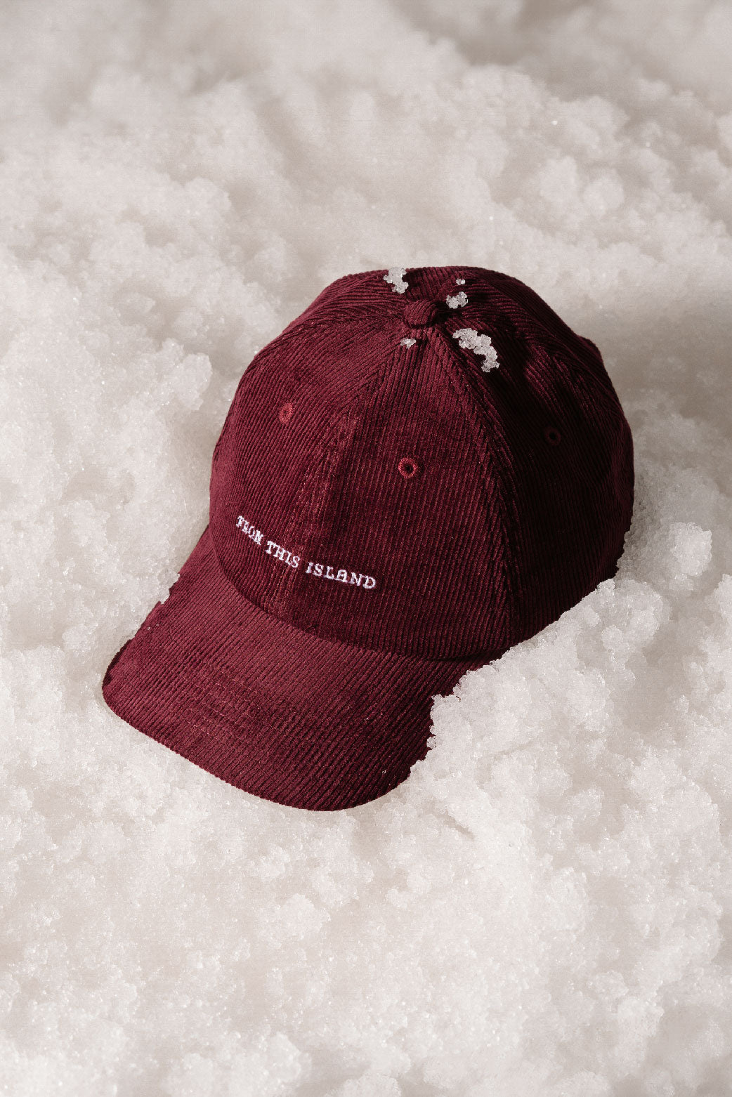 [Limited Edition] From This Island Reversible Winter Baseball Hat