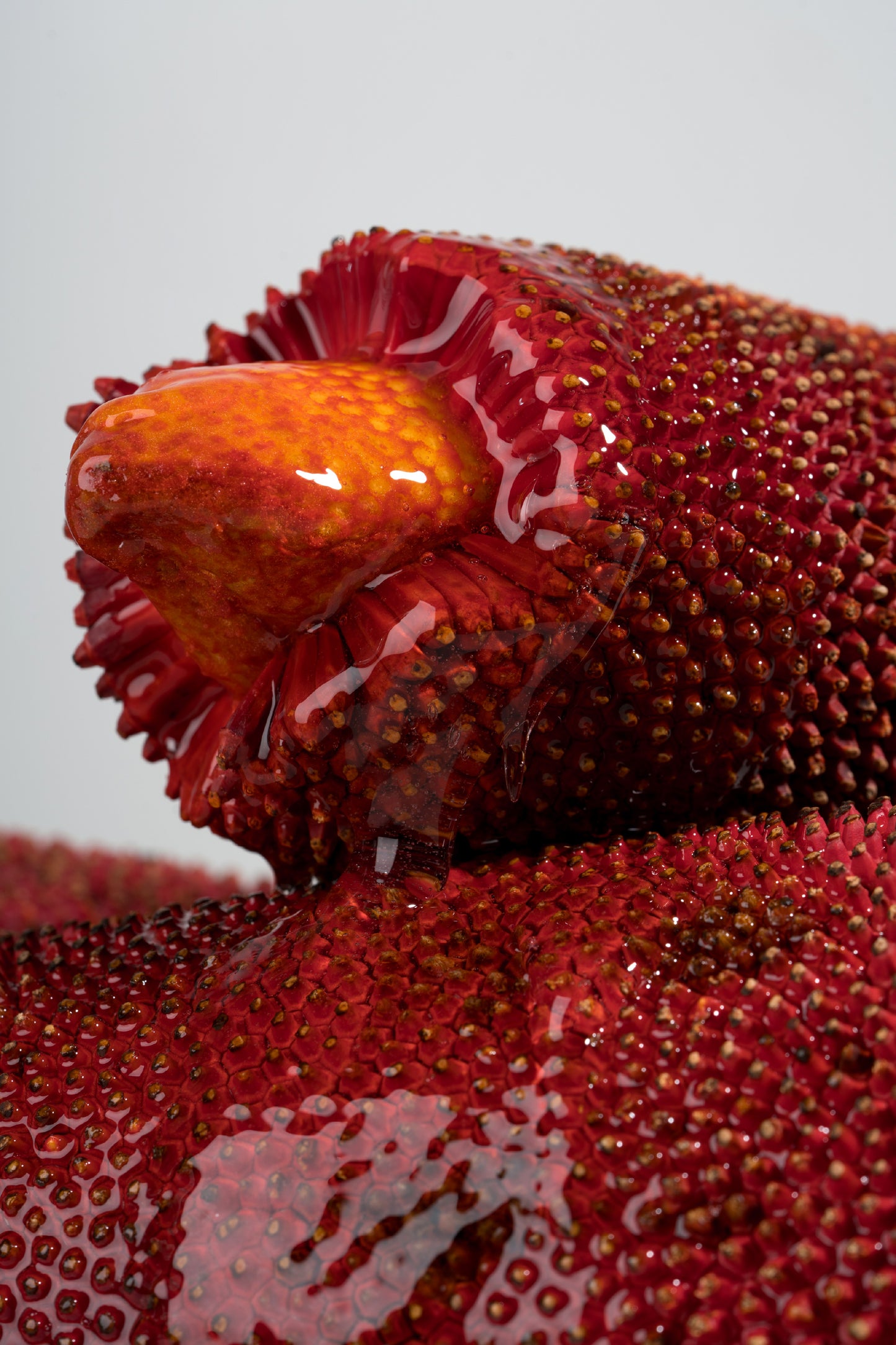 From This Island Papua Red Fruit Potent Plumping Serum 20ml